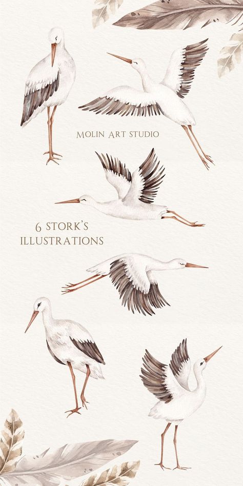 Unique Watercolor Stork's Clipart This set is perfect for creating decorations, handmade craft items, stationery, greeting cards, party invitations, scrapbooking, posters, stickers, clothes and everything you wonder. Social networking and promotions, packaging, covers, cases and more. Perfect for digital use and for print. Bird Baby Shower Theme, Stork Carrying Baby, Bird Set Free, Feather Watercolor, Fly Drawing, Birds Clipart, Stork Bird, Baby Stork, Stork Baby Showers