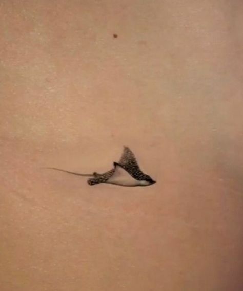 Ocean Theme Small Tattoo, Dainty Sea Tattoos, Tattoo Sea Creatures, Marine Mammal Tattoo, Cute Tiny Animal Tattoos, Stingray Tattoo Small, Small Tattoos Sea Ocean, Sea Animal Sleeve Tattoo, Ocean Tattoo Ideas Female