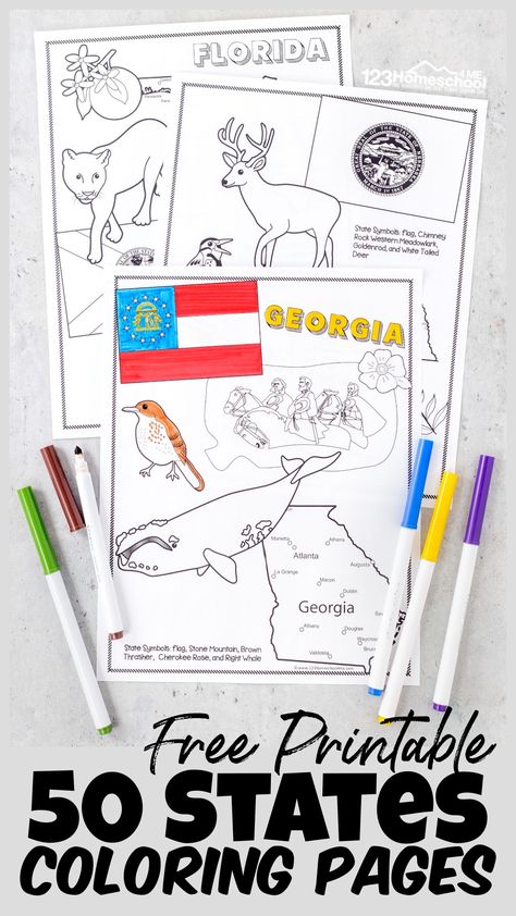 Animal Classification For Kids, 50 States Activities, 4th Grade Math Worksheets, States And Capitals, Homeschool Geography, State Symbols, Kids Bible, American Symbols, Printable Maps