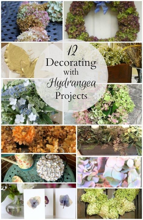 Dried Hydrangeas Centerpiece, Dry Hydrangea Arrangements, Hydrangea Basket, Hydrangea Flower Arrangements, Hydrangea Arrangement, Hydrangea Centerpiece, Hydrangea Arrangements, Dried Hydrangeas, Hydrangea Bouquet