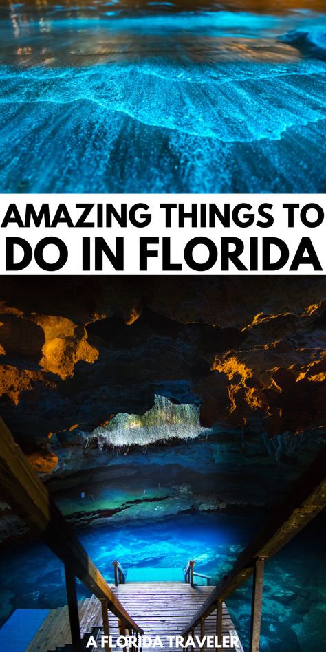 There are so many amazing things to do in Florida. Here is our Florida bucket list of all the things you can't miss while visiting Florida. Best Places In Florida To Vacation, Orlando Things To Do, Best Things To Do In Florida, Travel To Florida, Bucket List Florida, Florida Trips, Best Florida Vacations, Things To Do In Tampa Florida, Things To Do Near Orlando Florida