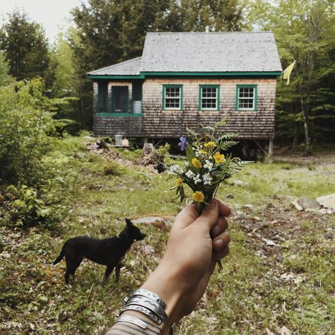 Off Grid Homestead, Off Grid House, Off Grid Cabin, Cabin Living, Living Off The Land, Summer Cottage, Life Well Lived, Off Grid Living, Cozy Cabin