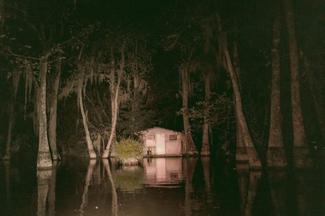 Deep South Gothic Aesthetic, Dark Americana Aesthetic, Louisiana Gothic, Midwest Gothic Aesthetic, Swamp Aesthetic, Dark Americana, Florida Gothic, Slasher Halloween, Southern Gothic Aesthetic