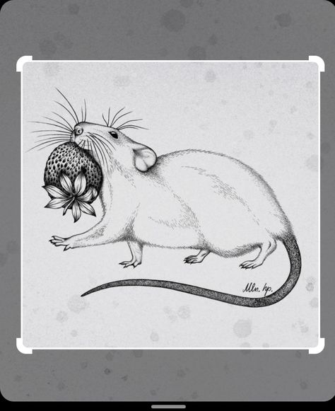 Minimal Tattoo Designs, Minimal Tattoo Ideas, Rat Tattoo, Tattoo Cute, Mouse Tattoos, Mouse Illustration, Wicked Tattoos, Animal Illustration Art, A Rat