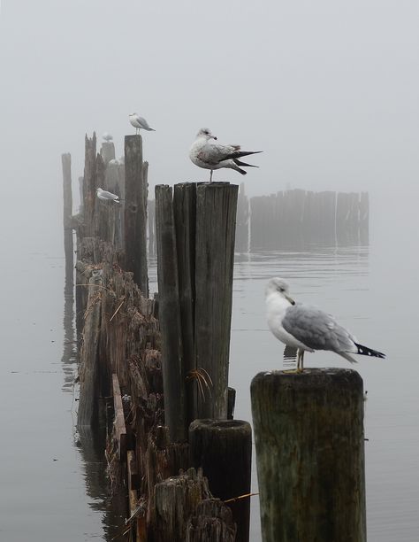 Nautical Aesthetic, Navi A Vela, Studio Workshop, Lighthouse Keeper, 수채화 그림, Sea Birds, Beach Life, Lighthouse, Antonio Mora Artwork