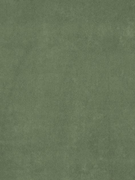 02569 Olive | Fabric | Trend Olive Green Fabric, Room Cooler, Green Velvet Fabric, Shelter Design, Trend Fabrics, Vintage Floral Fabric, Rowe Furniture, Velvet Upholstery Fabric, Daybed Sofa