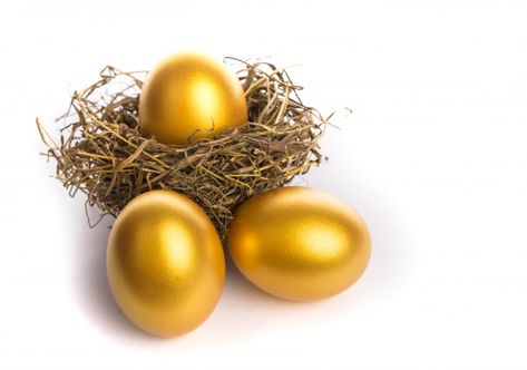 Monochrome Aesthetic, Game Fowl, Buy Gold And Silver, Gold Investments, Golden Life, Golden Egg, Art Photography Portrait, Gold Stock, Value Investing