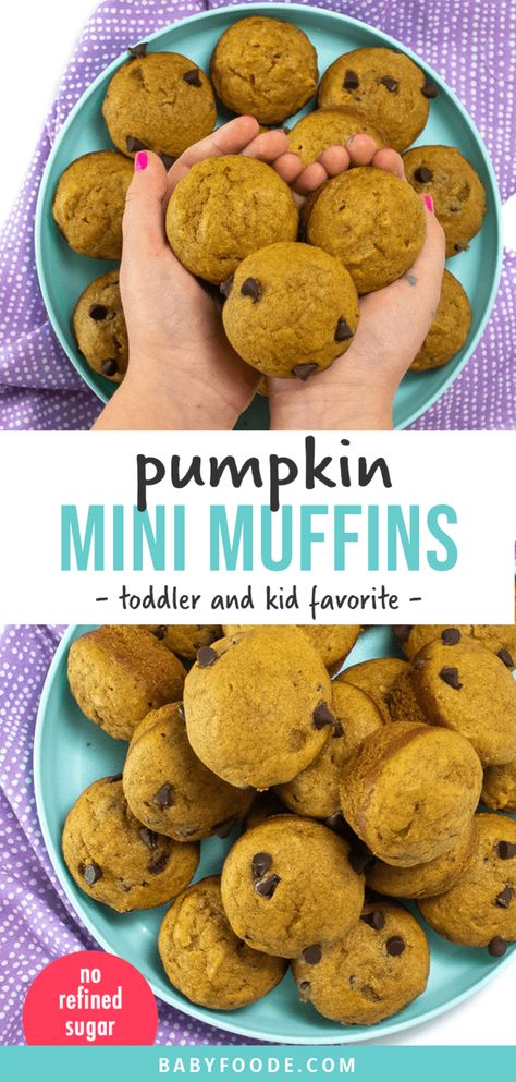 These Mini Pumpkin Muffins are the perfect treat for the fall! Quick and easy to make, they are a hit with toddlers and kids, and the adults too! Made with no refined sugar, they are a healthy and delicious snack or breakfast! #pumpkinmuffins #toddler #kid #snack Mini Muffins For Toddlers, Pumpkin Mini Muffins, Muffins For Toddlers, Organic Baby Food Recipes, Mini Pumpkin Muffins, Toddler Muffins, Baby Muffins, Frozen Pumpkin, Toddler Breakfast