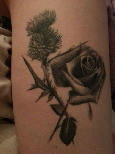 Rose and thistle tattoo Thistle Rose Tattoo, Inspiring Tattoos, Thistle Tattoo, Marley Quotes, Lily Tattoo, Scottish Thistle, Rose Tattoos, Tattoo Idea, Rose Tattoo