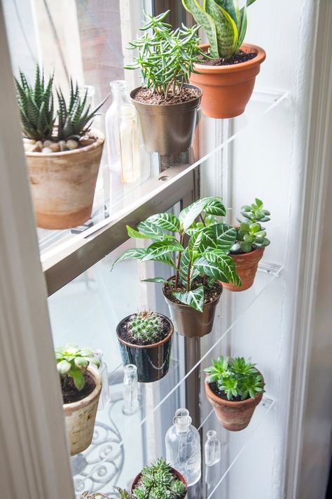 DIY Floating DIY Shelves and Do It Yourself Shelving Ideas - DIY Floating Window Shelves - Easy Step by Step Shelf Projects for Bedroom, Bathroom, Closet, Wall, Kitchen and Apartment. Floating Units, Rustic Pallet Looks and Simple Storage Plans #diy #diydecor #homeimprovement #shelvesShelves Indoor Gardening Diy, Small Kitchen Decoration, Window Plant Shelf, Plant Window, Window Plants, Window Shelves, Indoor Window, Small Kitchen Decor, Floating Shelves Diy