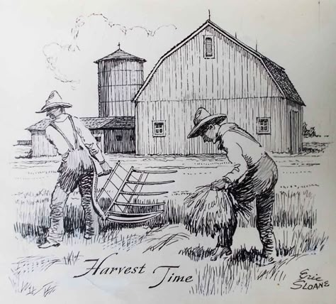 Rural Drawing, Farming Drawing, Harvest Drawing, Rural Drawing Easy, Farm Sketch, Farmers Drawing Sketch, Rural Sketch, Farm Sketches Pencil, Farm Drawing