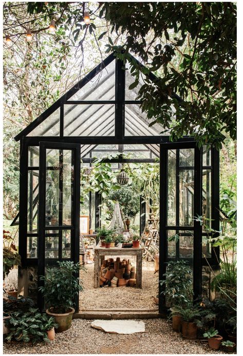 Glass House For Plants, Cactus Greenhouse, Glass House Garden, Vintage Greenhouse, Victorian Greenhouses, Cactus Plant Pots, Greenhouse Shed, Home Greenhouse, Backyard Greenhouse