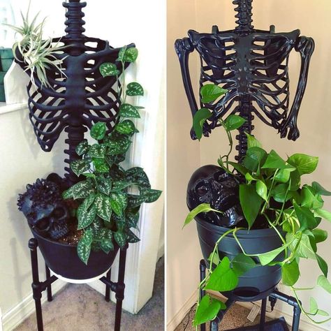 Spooky Wall Decor Diy, Fantasy Home Decor Diy, Goth Chic Decor, Tropical Goth Decor, Gothic Terrarium, Gothic Jungle, Goth Home Decor Diy, Skeleton Planter, Diy Gothic Decor