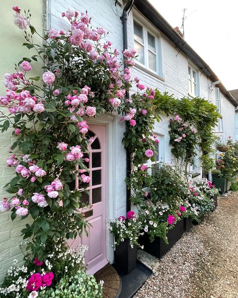 David Austin "Rosa Mary Delaney" Spanish Landscaping, Greenhouse Decor, Climbing Roses Trellis, Rose Home Decor, Rose Garden Design, Climbing Flowers, Pink Garden, Front Yard Garden, Climbing Roses