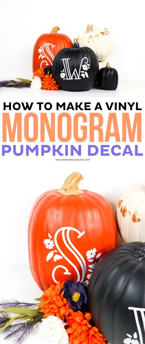 DIY Monogram Pumpkin Vinyl Decal #printablecrush #pumkindecals #vinylpumpkin #halloweencraft #fallcraft #falldecor #fallhomedecor #halloweendecor #pumpkindecorations #pumpkindecor Monogram Pumpkin, Decorating Pumpkins, Pretty Monograms, Crush Posts, Pumpkin Diy, Pumpkin Monogram, Expressions Vinyl, Diy Monogram, Pumpkin Projects