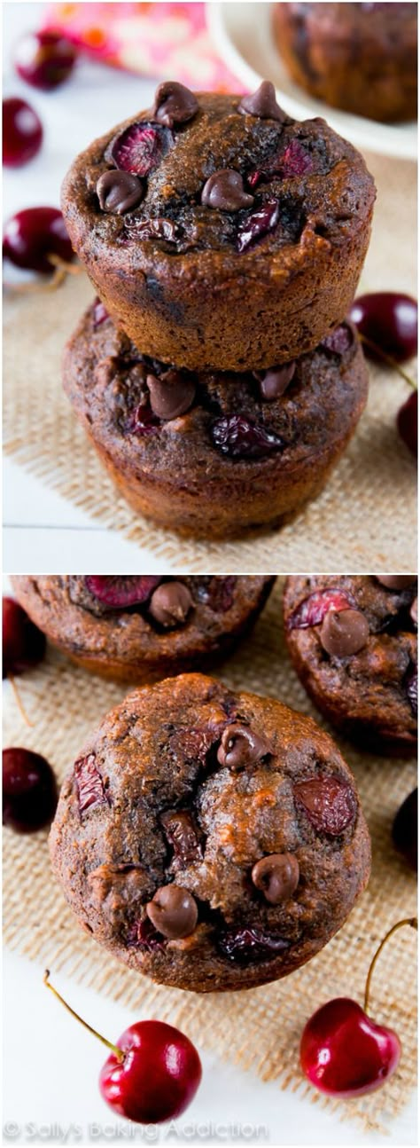 Grab the easy recipe for this 110 calorie chocolate muffins on sallysbakingaddiction.com Fudge Muffins, Chocolate Cherry Muffins, Cherry Muffin, Mini Chocolate Chip Muffins, Cherry Muffins, Sallys Baking, Muffins Recipes, Sally's Baking, Desserts Chocolate