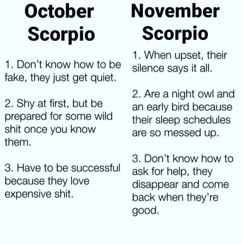 Zodiac Mind Scorpio, Scorpions Zodiac, October Libra, Zodiac Quotes Scorpio, Astrology Scorpio, Scorpio Traits, Zodiac Signs Chart, Scorpio Love, Scorpio Zodiac Facts