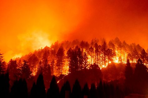 Californias boom collapses as fires add $1.1 billion toll https://www.ocregister.com/2020/10/16/californias-boom-collapses-as-fires-add-1-1-billion-toll/ California Wildfires, Wine Country California, National Weather Service, California Wine, No Rain, Forest Fire, Gas And Electric, Red Flag, San Francisco Bay Area