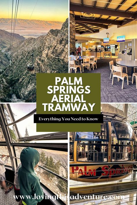 Palm Springs Tramway, Las Vegas To Palm Springs Road Trip, Palm Springs Aerial Tramway, Palm Springs Trip, Palm Springs With Kids, Palm Springs Things To Do, Vintage Palm Springs Aesthetic, Palm Springs Weekend, Palm Springs Aesthetic