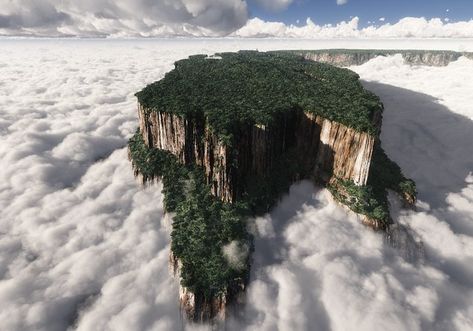 Dracaena Cinnabari, Monte Roraima, Mount Roraima, Types Of Forests, Paradise Falls, Earth Photos, The Lost World, Bohol, Ancient Tree