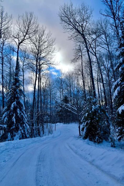 Minocqua Wisconsin, Wisconsin Winter, Winter Beauty, Winter Aesthetic, Look In The Mirror, Heaven On Earth, Photo Inspiration, Wisconsin, Christmas