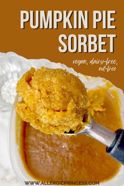 Pumpkin Recipes No Sugar, Pumpkin Sorbet, Macros Meals, Allergy Free Snacks, Peanut Free Desserts, Healthy Pumpkin Dessert, Ice Cream Healthy, Food Allergy Awareness, Pumpkin Pie Ice Cream