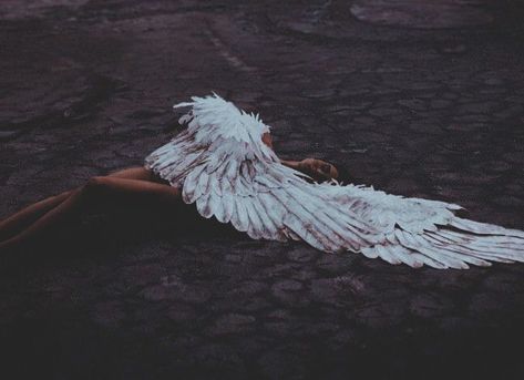 The fallen angel Only Angel Aesthetic, Fallen Angel Aesthetic, Fallen Angel Wings, Only Angel, The Fallen Angel, Ange Demon, Angel Aesthetic, Aesthetic Tumblr, Aesthetic Photos