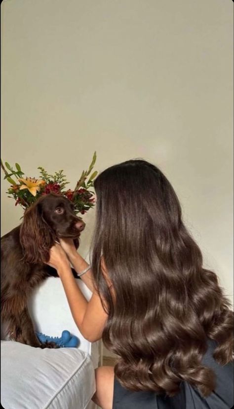 Pretty Hair Brunette, Bouncy Brown Hair, Long Waved Hair, Long Natural Brown Hair, Long Brunette Hair Aesthetic, Long Curly Brown Hair, Long Straight Brown Hair, Brown Hair Long, Brown Hair Aesthetic