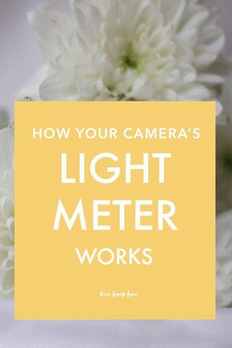 Photography Tips | Get accurate exposure by understanding how your camera's light meter works. Click through to read this photography tutorial for beginners! Dslr Cheat Sheet, Dslr Quotes, Digital Photography Lessons, Dslr Photography Tips, Photography Resources, Light Meter, Manual Mode, Dslr Photography, Photography Basics