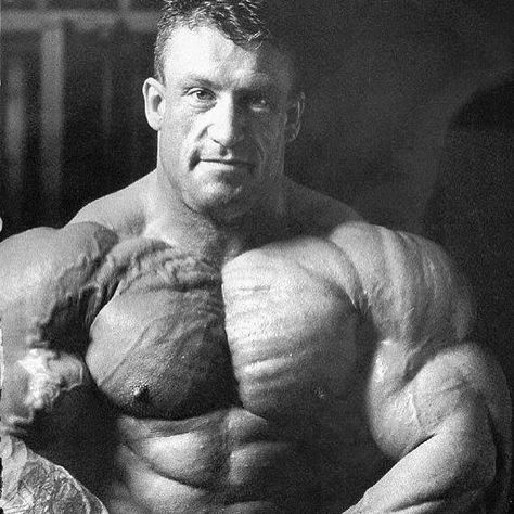 Dorian Yates [2021 Update]: Injuries, Steroids, Career & Net Worth Dorian Yates Workout, Ripped Workout, Dorian Yates, Biceps And Triceps, Three's Company, Bodybuilding Supplements, Body Building Men, Mr Olympia, Ultimate Spiderman