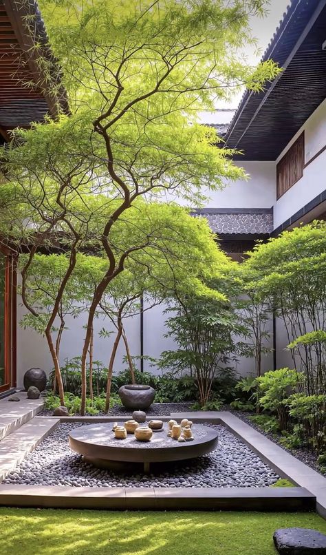 Japanese Courtyard Garden, Modern Garden Design Ideas, Design A Garden, Shrunken Heads, Japanese Garden Landscape, Small Garden Ideas, Zen Garden Design, Courtyard Gardens Design, Japanese Garden Design