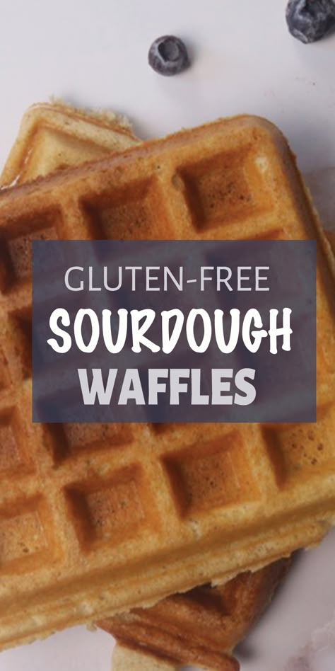 Gluten Free Sourdough Waffle Recipe - Easy and Delicious #glutenfree Sourdough Waffle Recipe, Buckwheat Waffles, Sourdough Waffles, Overnight Sourdough, Gluten Free Milk, Waffle Ingredients, Sweet Potato Waffles, Waffles Easy, Gluten Free Waffles