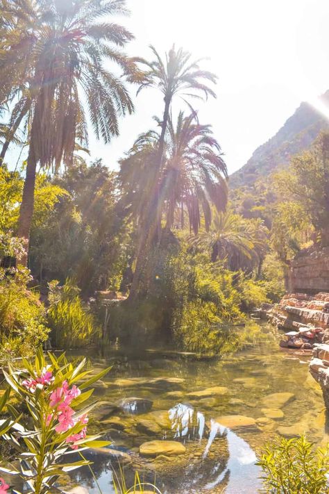 Visiting Taghazout and Paradise Valley Morocco - Stoked to Travel Fez Morocco Photography, Natural Pools Backyard Diy, Paradise Valley Morocco, Morocco Taghazout, Morocco Nature, Morocco Vacation, Taghazout Morocco, Casablanca Hotel, Surf Town