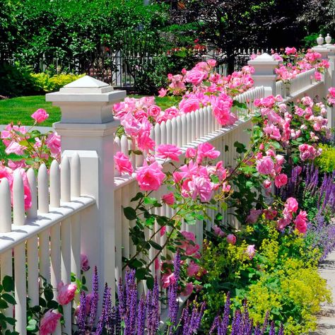 10 Favorite Flower Bed Ideas for the Front of Your House  ||  Are you looking for front of house flower bed ideas? Then look no further! These 10 top ideas will give your home instant curb appeal. https://www.familyhandyman.com/garden/flower-bed-ideas-front-of-house/ Gard Modern, Zuppa Toscana Soup Olive Garden, Pagar Modern, White Fence, Front Yard Fence, Garden Wallpaper, White Picket Fence, Fence Landscaping, Modern Fence