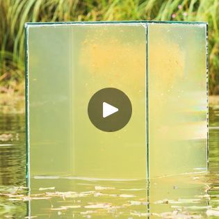 Fish Tower, Pond Build, How To Make Fish, Panda Art, A Pond, Watch Tower, Neat Ideas, Fish Pond, Water Tower