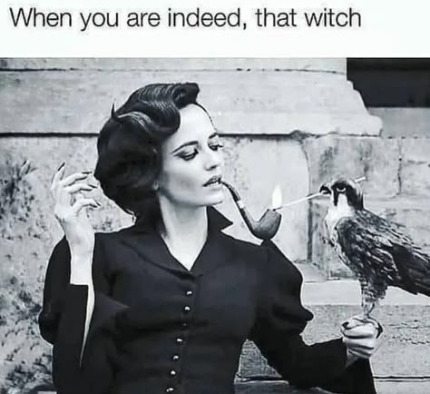 Witch Meme, Witch Quotes, Face Icon, Something Wicked, Witchy Woman, Funny Animal Memes, Sarcastic Quotes, Animal Memes, Funny Things