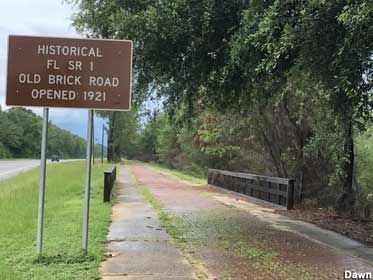 Milton Florida, Magnolia Grandiflora, Mid 90s, Good Old Times, Southern Illinois, Brick Road, Old Bricks, Roadside Attractions, Old Florida