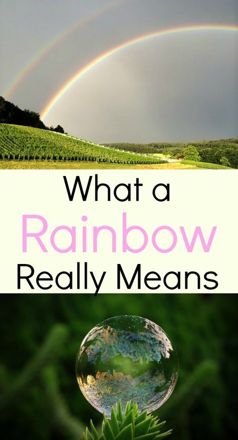 The many colors of the rainbow came from God and not from science. The rainbow symbol promise is also from God - for each one of us. A devotional. Rainbow Symbolism, Rainbow Is God's Promise, Rainbow Symbol, Rainbow In Bible, Rainbow God's Promise, God Keeps His Promises Rainbow, Rainbow Meaning, God’s Rainbow Promise, Rainbow Promise