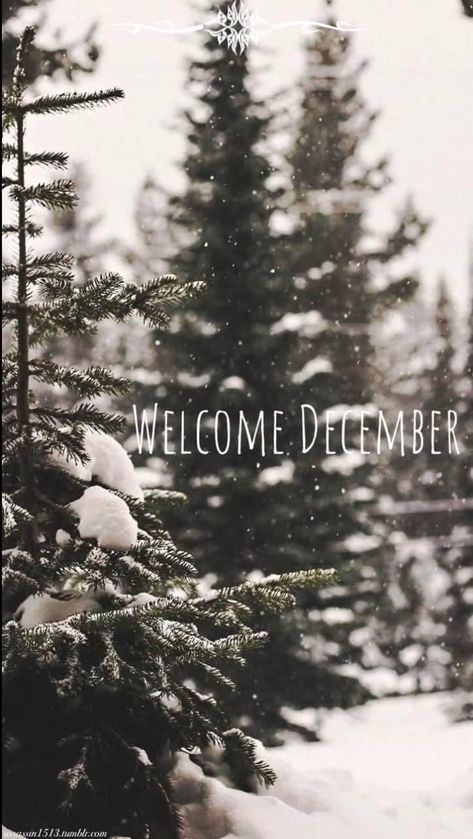 Welcome December Images, Hello December Pictures, December Welcome, Hello December Images, December Images, Welcome December, December Wallpaper, Christmas Dreaming, Hello December