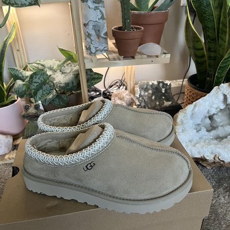 Ugg Tasman slipper mustard seed Sold out everywhere... - Depop Winter Uggs, Ugg Tasman Slippers, Ugg Tasman, Early Fall Outfit, Mustard Seed, Autumn Photography, Christmas List, Winter Boots, Outdoor Living