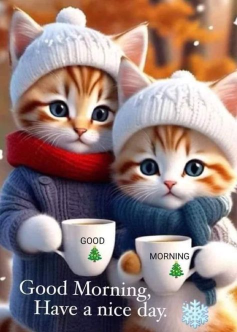 Cat Saying Good Morning, Cart Postal, Tea And Flowers, Carol King, Have A Wonderful Wednesday, Super Cute Kittens, Good Morning Cat, Good Morning Christmas, Good Morning Cartoon