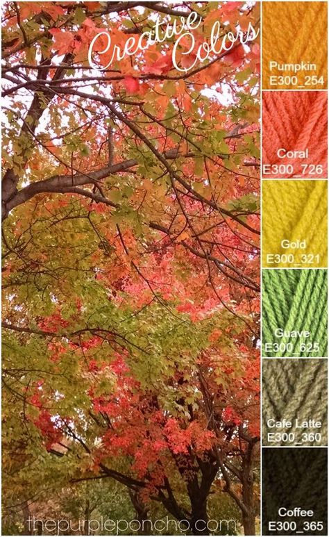 Creative Colors Fall Trees Palette! on The Purple Poncho #color #creativecolors #yarn Yarn Color Combinations, Colours That Go Together, Fall Trees, Color Schemes Colour Palettes, Color Boards, Beach Color, Fall Color Palette, Palette Design, Colour Combos