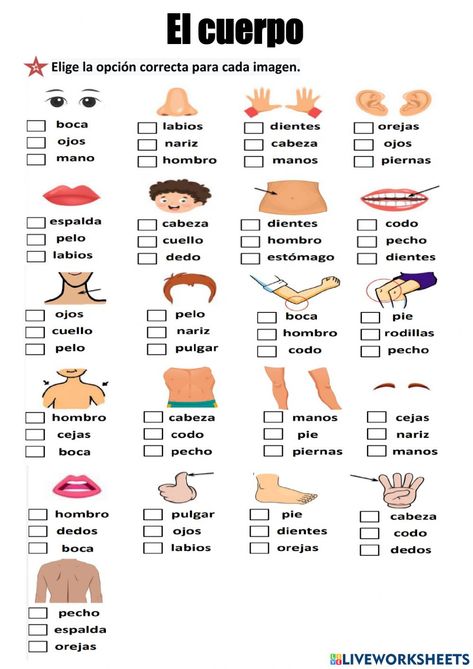 Spanish Worksheets For Kids Printables, Spanish Cognates Activities, Spanish Body Parts, Spanish Food Vocabulary, Body Parts In Spanish, Spanish Cognates, Spanish Tenses, Spanish Exercises, Spanish Notes