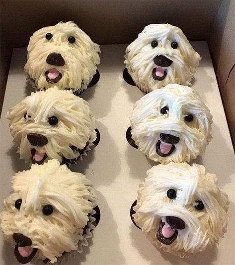 Doggie Cupcakes Critter Cupcakes, Pup Cakes, Puppy Cupcakes, Edible Eyes, Creative Dessert Recipes, Dog Cupcakes, Puppy Cake, Animal Cupcakes, Animal Cakes