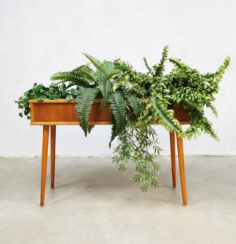 Mid Modern House, Plant Troughs, Diy Wooden Planters, Mid Century Modern Plants, Plant Pots Crafts, Botanical Interior, Wooden Plant Pots, Garden Plant Stand, Planter Stand