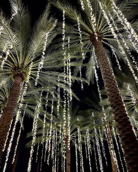 The Boca Raton on Instagram: “Ring in the New Year. The Boca Raton's most anticipated party of the year is more spectacular than ever, with two celebrations to choose…” Palm Tree Christmas Lights, Tree Uplighting, Tudor Christmas, Urban Spaces Design, Palm Tree Lights, Instagram Ring, Night Street, Holiday Images, Cute Christmas Wallpaper