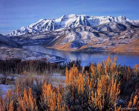 Timpanogos Sage photo Timpanogos Mountain, Purple View, Traveling America, Mount Timpanogos, Travel Utah, Northern Utah, Utah Mountains, 2023 Art, Deer Creek