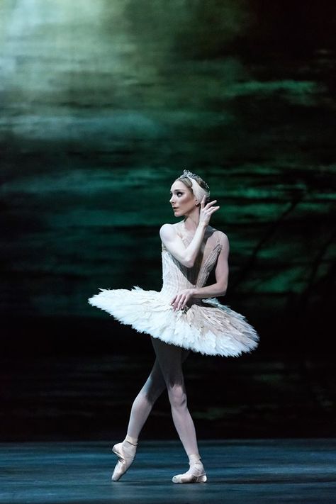 The Royal Ballet - Swan Lake - Make-Up Swan Lake Costumes, Sarah Lamb, Ballet Painting, Swan Lake Ballet, The Royal Ballet, Dancer Photography, Ballet Beauty, Alvin Ailey, Ballet Poses