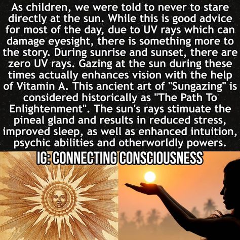 ⠀⠀ CONNECTING CONSCIOUSNESS on Instagram: “⛔WARNING⛔ DO NOT go outside after reading this one post and start staring at the sun ➖ 1) NEVER gaze at the sun through GLASS, whether it…” Connecting Consciousness, Sun Gazing, Healing Guide, Intentional Community, Pineal Gland, Knowledge And Wisdom, English Quotes, Self Healing, Natural Healing