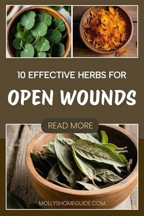 Explore the power of herbal remedies for open wounds and wound healing. Discover the benefits of Calendula tincture, Comfrey uses, Yarrow, and more! Herbal creams and astringents can provide natural wound care to support your body's healing process. Try herbal treatments for wounds to experience the gentle effectiveness of herbal wound care firsthand. Incorporate these healing herbs into your routine for effective natural wound care solutions. Herbs For Healing Wounds, Wound Healing Herbs, Herbs For Seizures, Natural Healing Remedies Skin Care, Wound Healing Remedies, Open Wound Care, Scar Healing Remedies, Calendula Tincture, Skin Healing Remedies